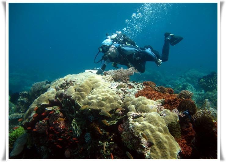 Anilao Scuba Dive Center Hotel Batangas Exterior photo
